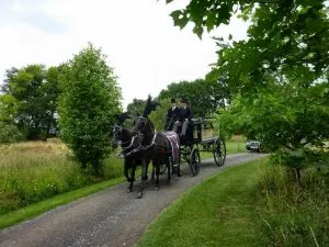 Natural burial at Westall Park
