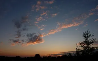 Why choose a natural burial?