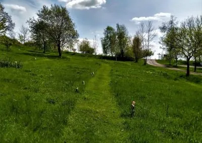 Area M path