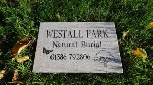 Plaque-in-Grass