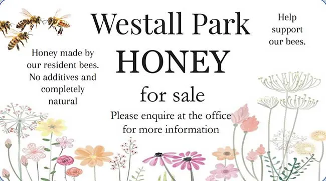 Westall Park Honey